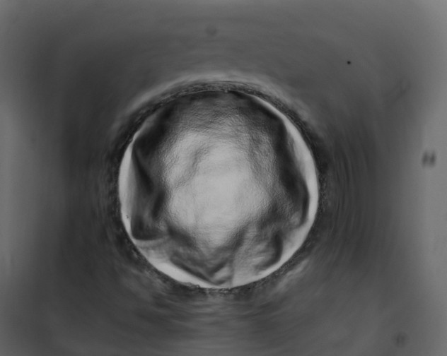 X0000101101494200807171859