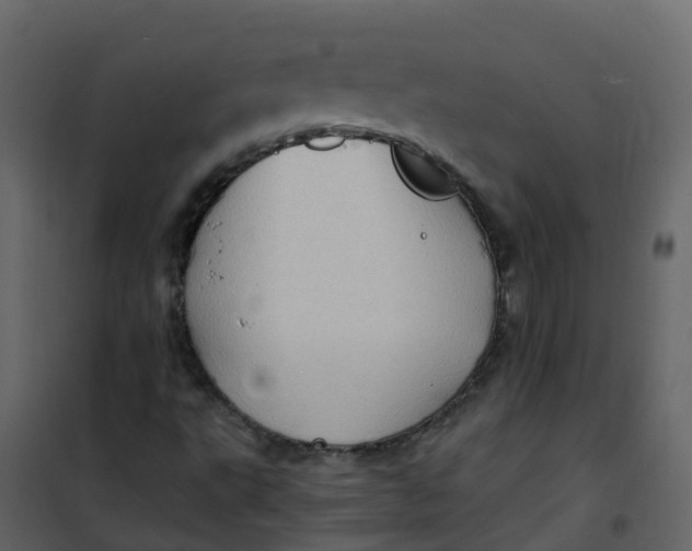 X0000101101495200807171859