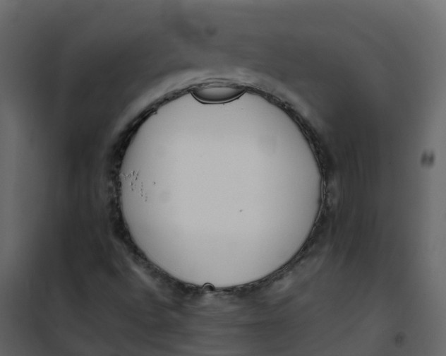 X0000101101496200807171859