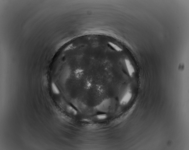 X0000101101497200807171859