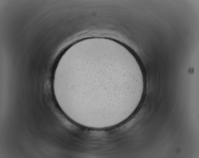 X0000101101498200807171859