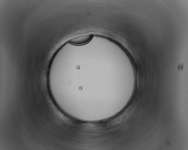 X0000101101500200807171859