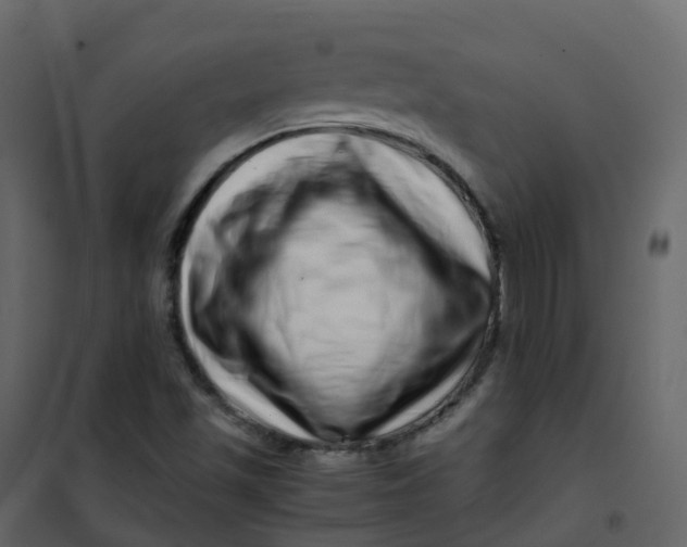 X0000101101501200807171859