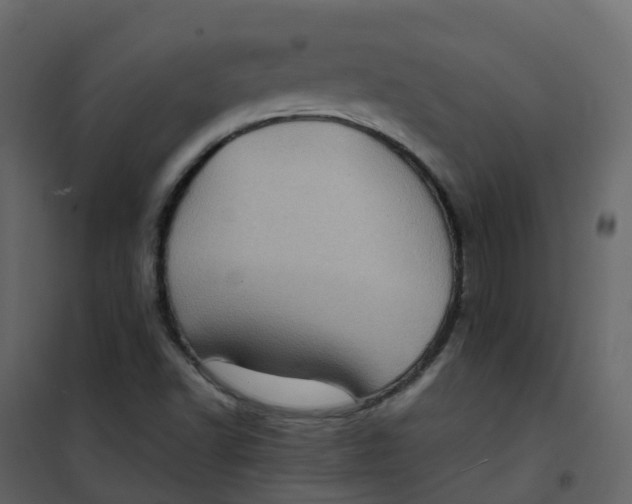 X0000101101502200807171859