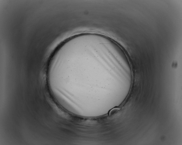 X0000101101503200807171859