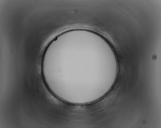 X0000101101504200807171859