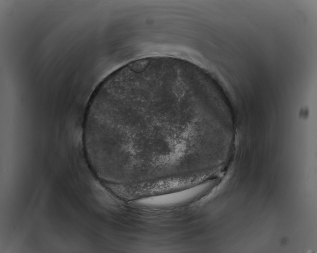 X0000101101505200807171859