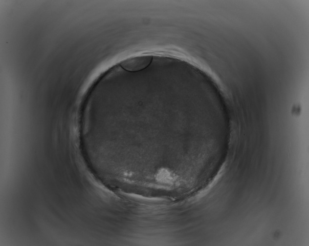 X0000101101506200807171859