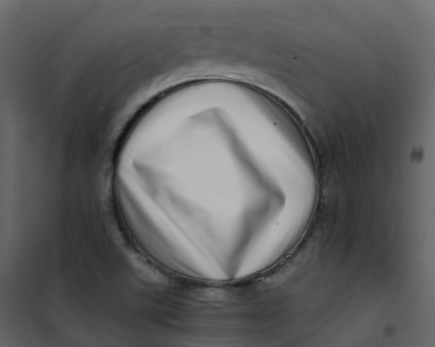 X0000101101507200807171859