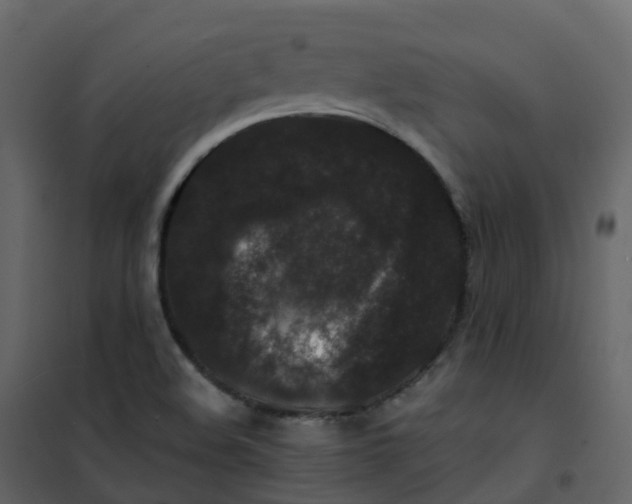 X0000101101508200807171859