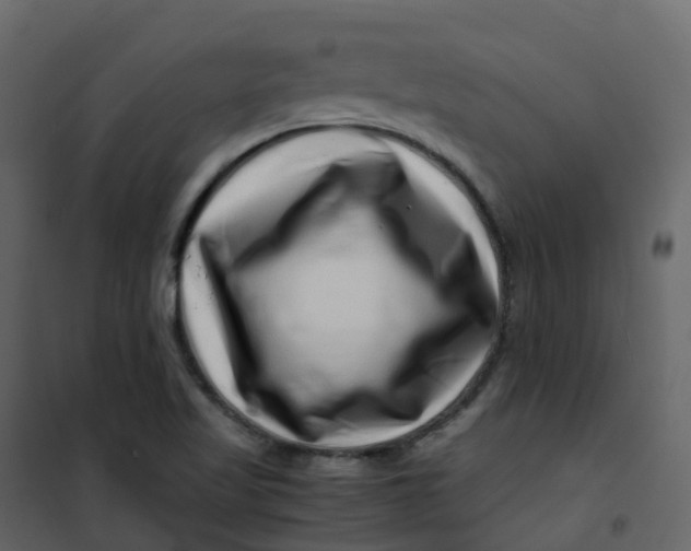 X0000101101509200807171859