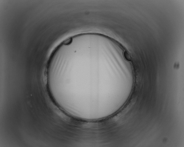 X0000101101510200807171859