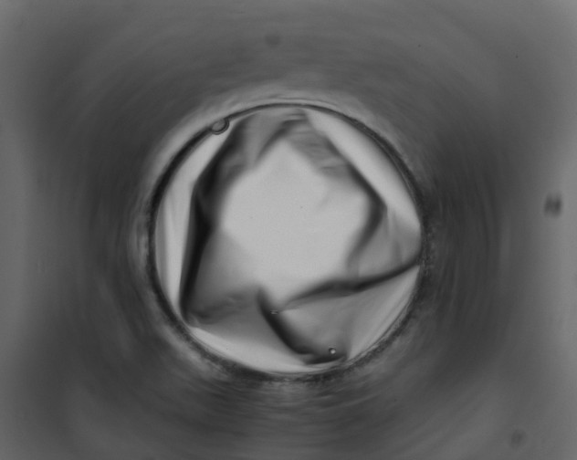 X0000101101511200807171900