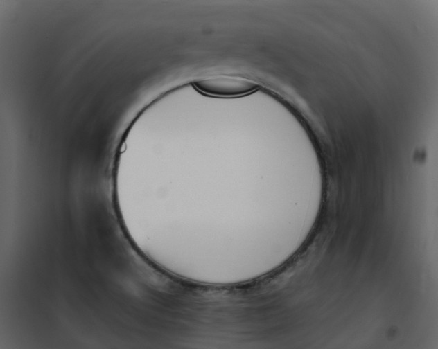 X0000101101512200807171900