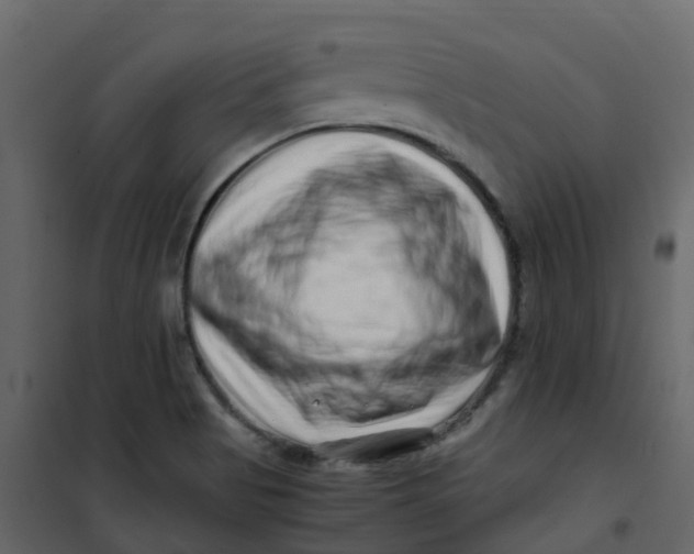 X0000101101513200807171900