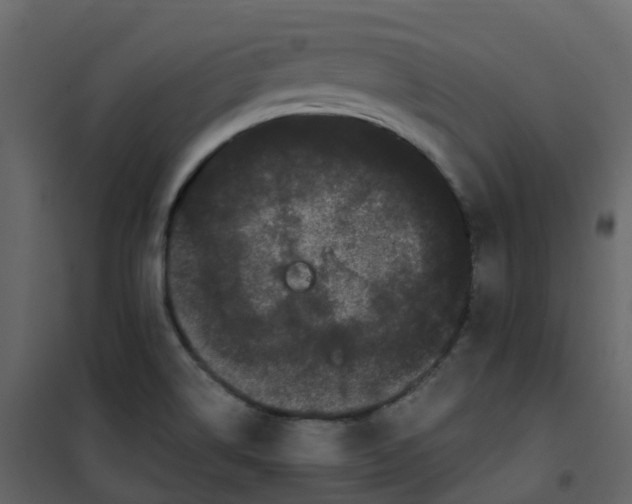 X0000101101514200807171900