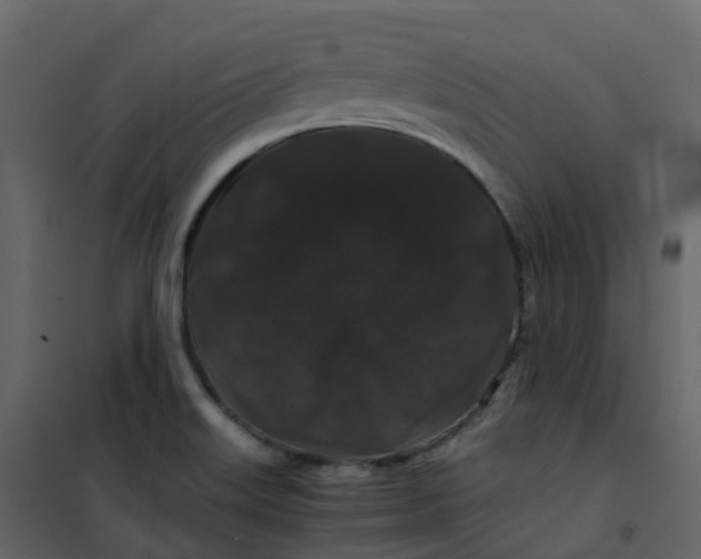 X0000101101515200807171900