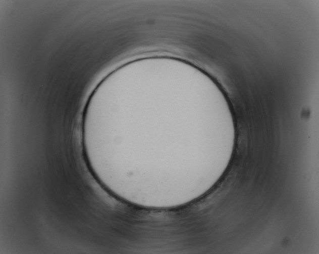 X0000101101516200807171900