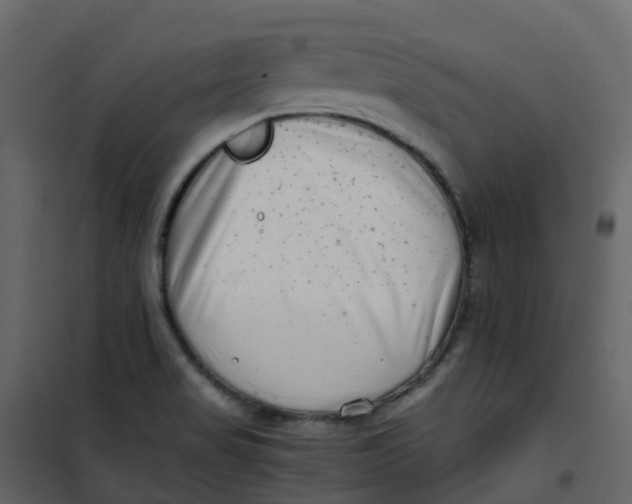 X0000101101517200807171900