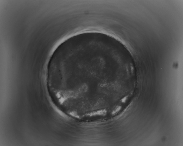 X0000101101519200807171900