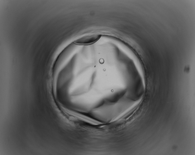 X0000101101520200807171900