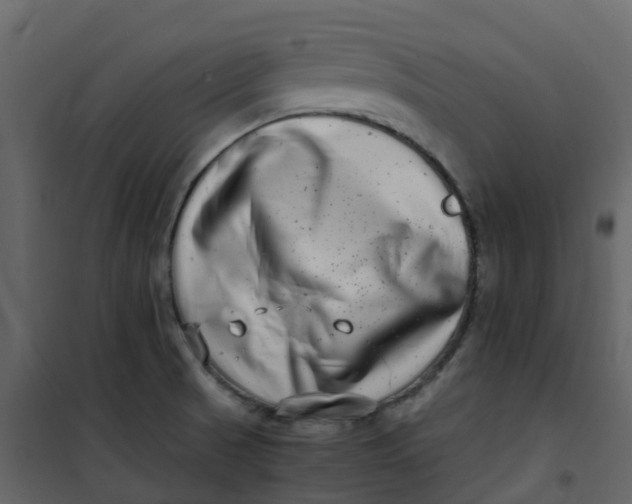 X0000101101521200807171900