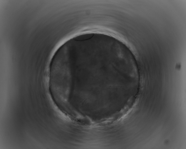 X0000101101522200807171900