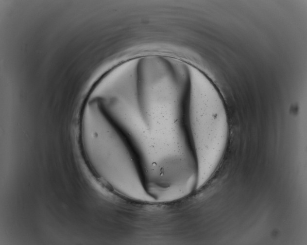 X0000101101523200807171900