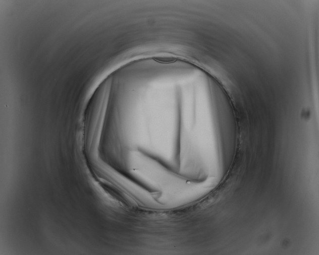 X0000101101524200807171900