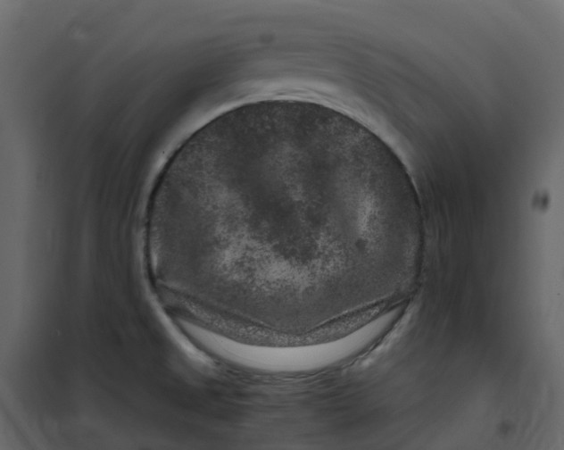 X0000101101525200807171900