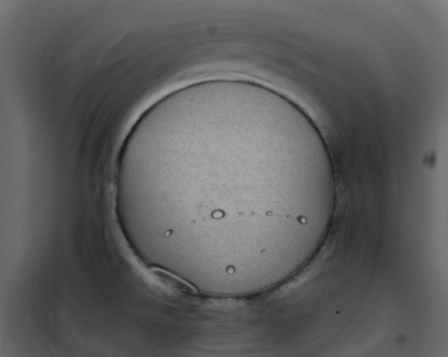 X0000101101526200807171900