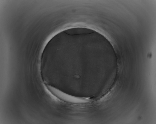 X0000101101527200807171900