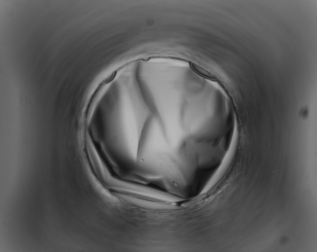 X0000101101528200807171900