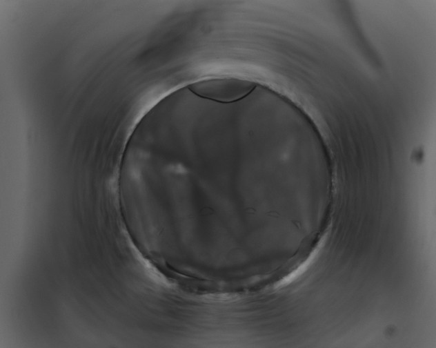 X0000101101529200807171900