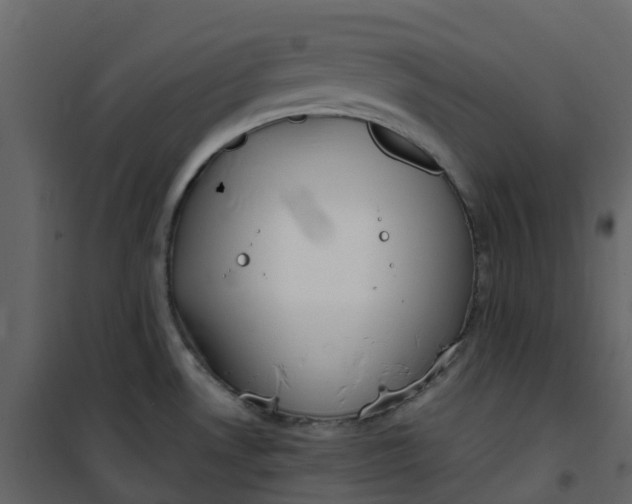 X0000101101530200807171900