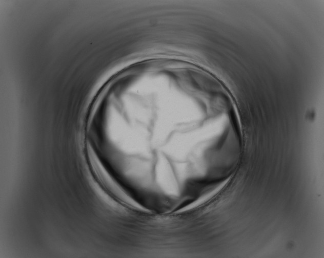 X0000101101531200807171900