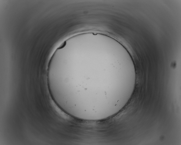 X0000101101532200807171900