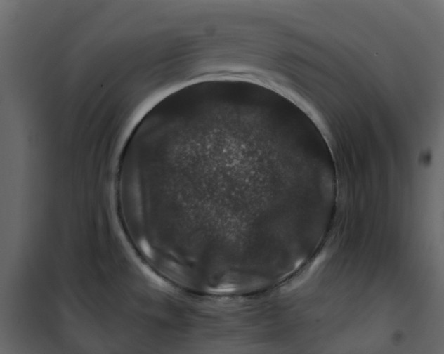 X0000101101533200807171900