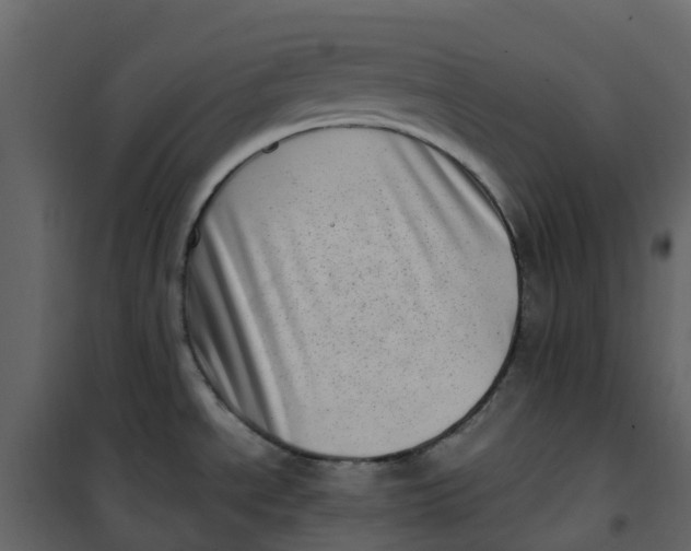 X0000101101534200807171900