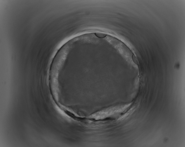 X0000101101535200807171900