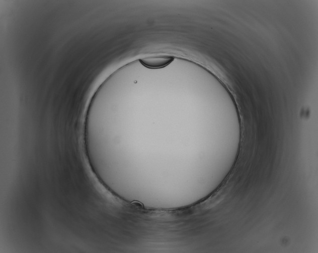 X0000101101536200807171900