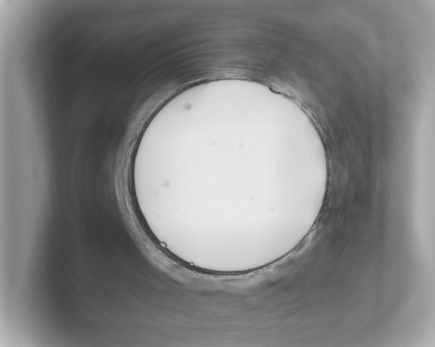 X0000101100001200807241037