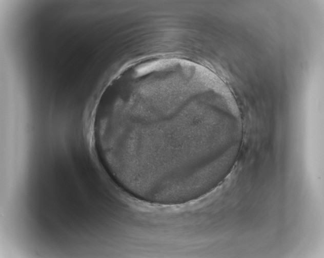 X0000101100002200807241037