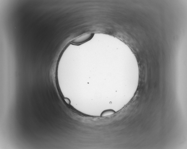 X0000101100003200807241037