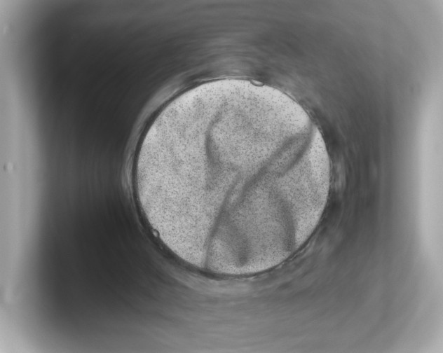 X0000101100004200807241037