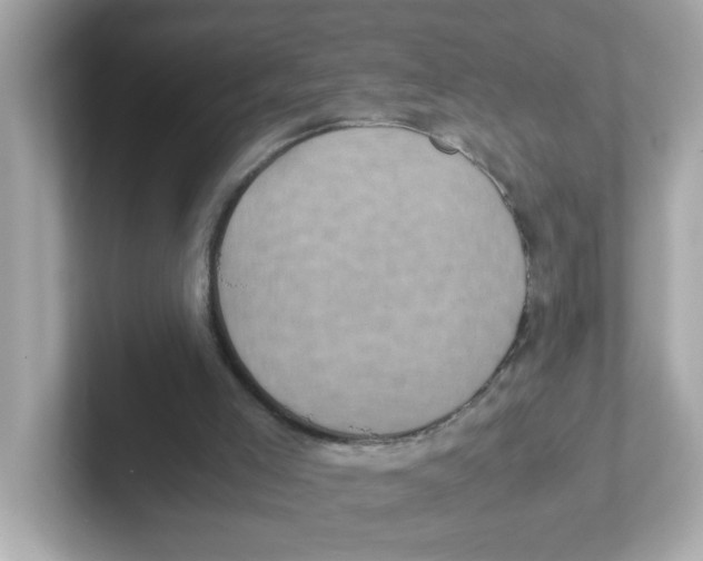 X0000101100005200807241037