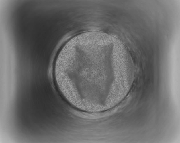 X0000101100006200807241037