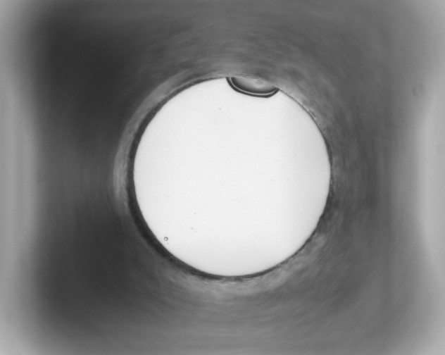 X0000101100007200807241037