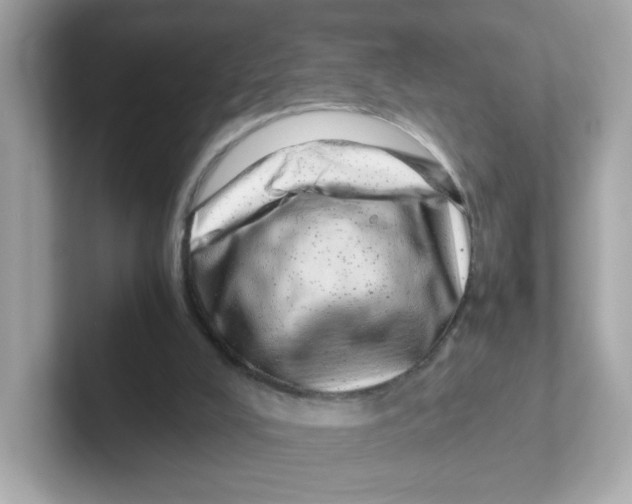 X0000101100008200807241037