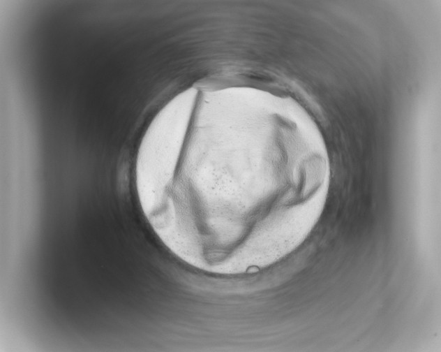 X0000101100010200807241037